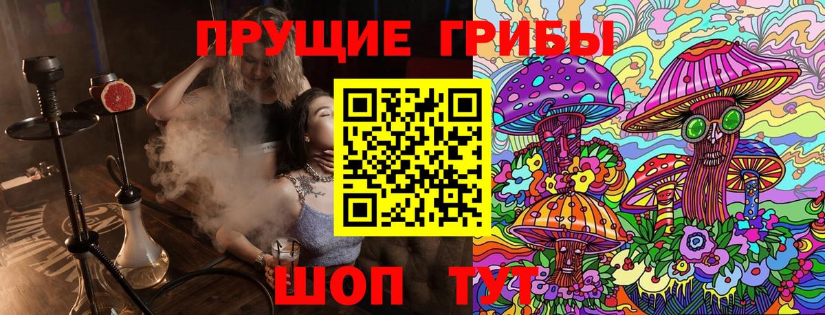 Галлюциногенные грибы Cubensis  Вход с VPN  Губкинский 