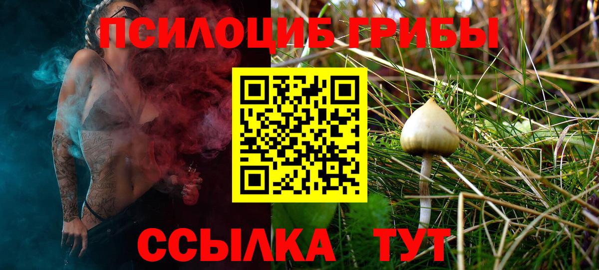 Псилоцибиновые грибы Psilocybine cubensis Губкинский
